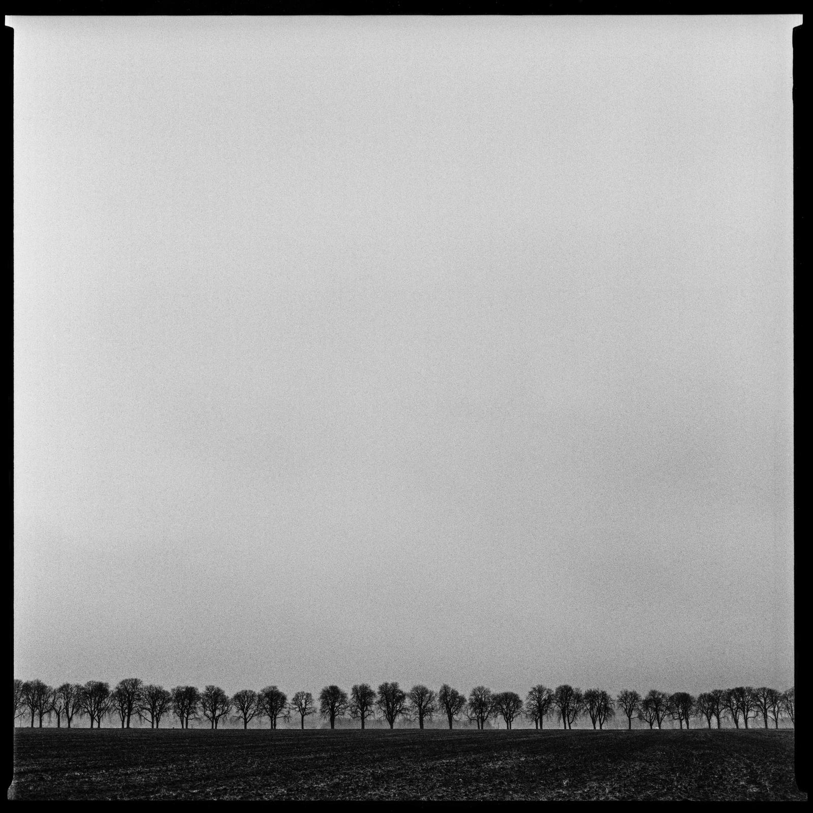 Horizont